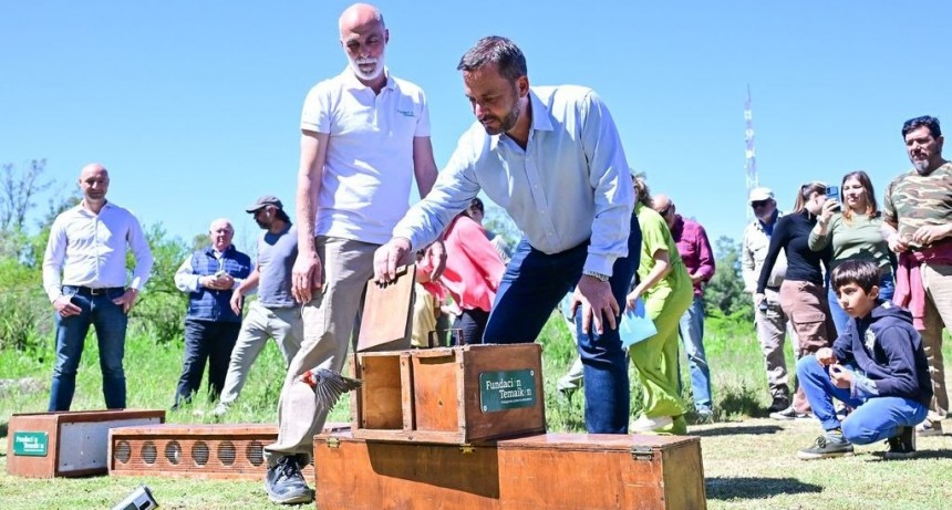 Emotiva liberaci&oacute;n de aves silvestres nativas en la Reserva de Maschwitz